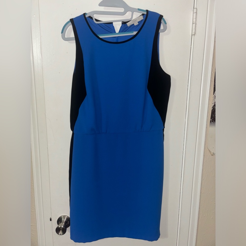Ann Taylor Dress